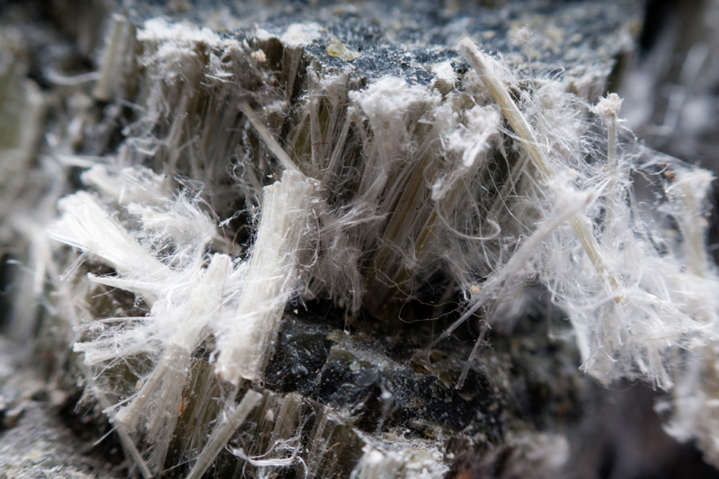 Brillux: Sachkunde für Tätigkeiten mit Asbest