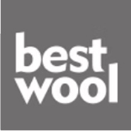 Best Wool Carpets B.V.